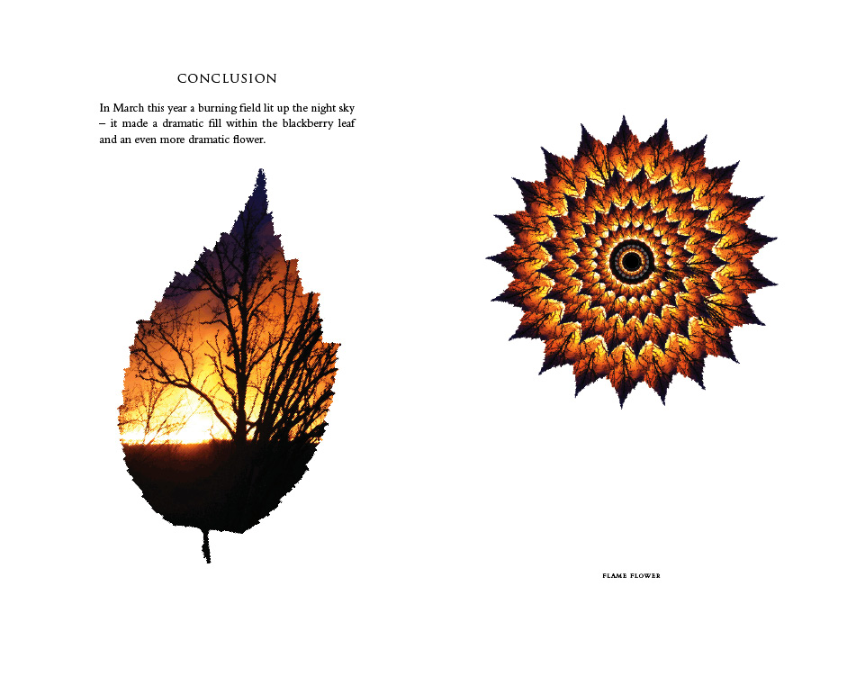Dahlia (decorated)