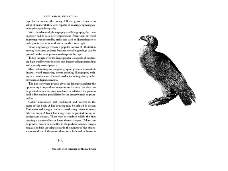 Inside the Book pp 28-9