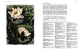 The Wood Engravings of Agnes Miller Parker pp 312-3