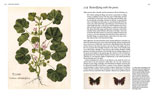 Impressions of Nature pp 152-3