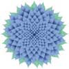 Cornflower #2