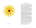 The Making of Florilegium Solmentes